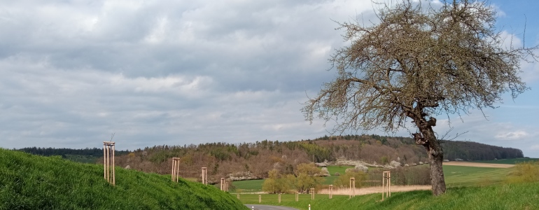 Foto: Pavla Pokorná