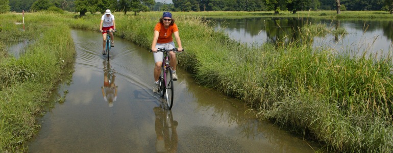 Projíždějící cyklisté na Soutoku.
