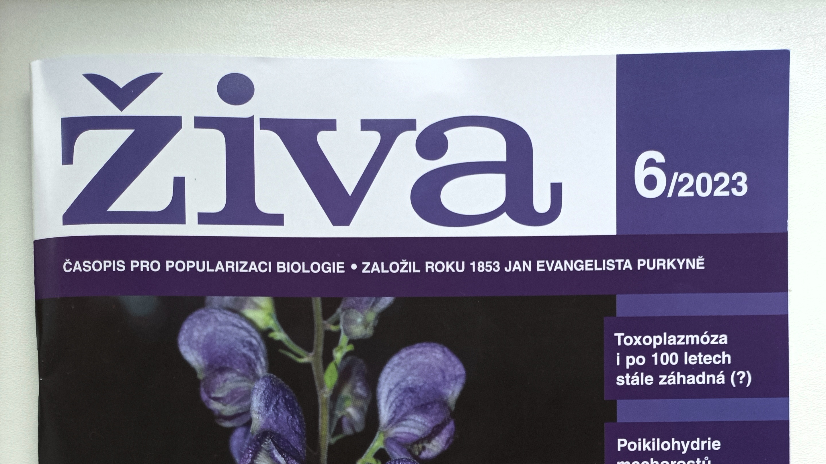 Přední strana časopisu ŽIVA.