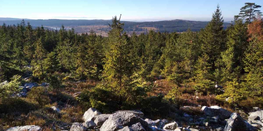 Přírodní památka Kočka v CHKO Brdy