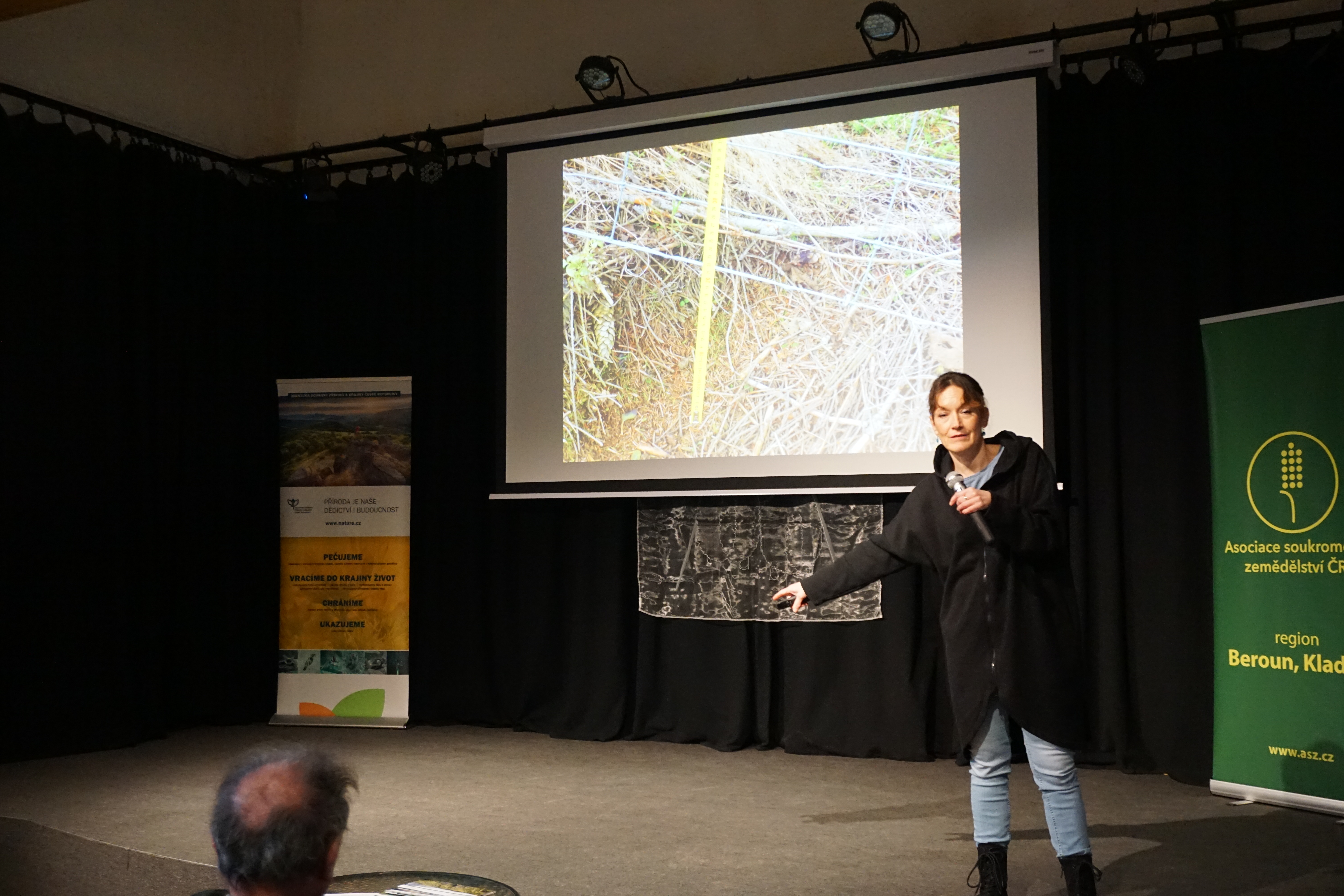 Jindřiška Jelínková