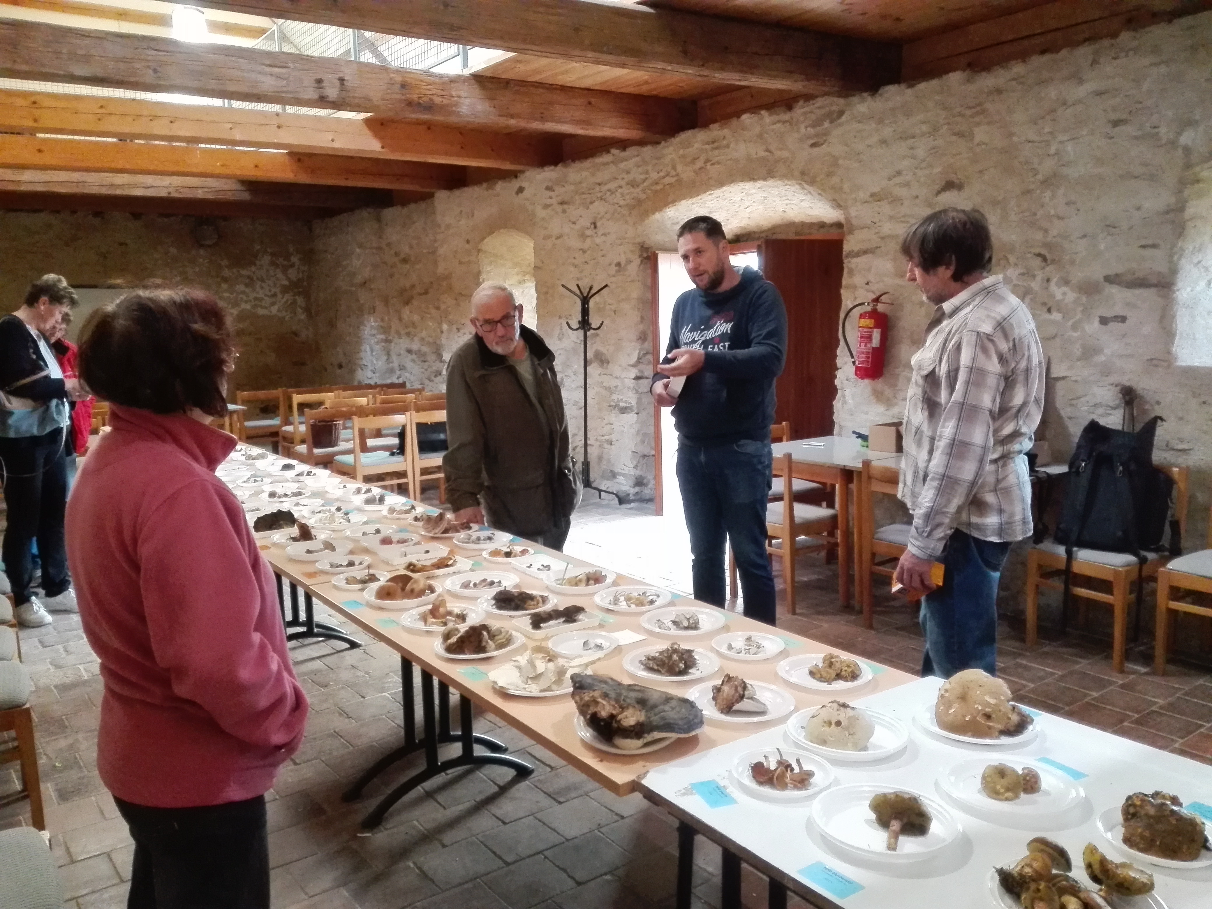 výstava hub v Domě přírody