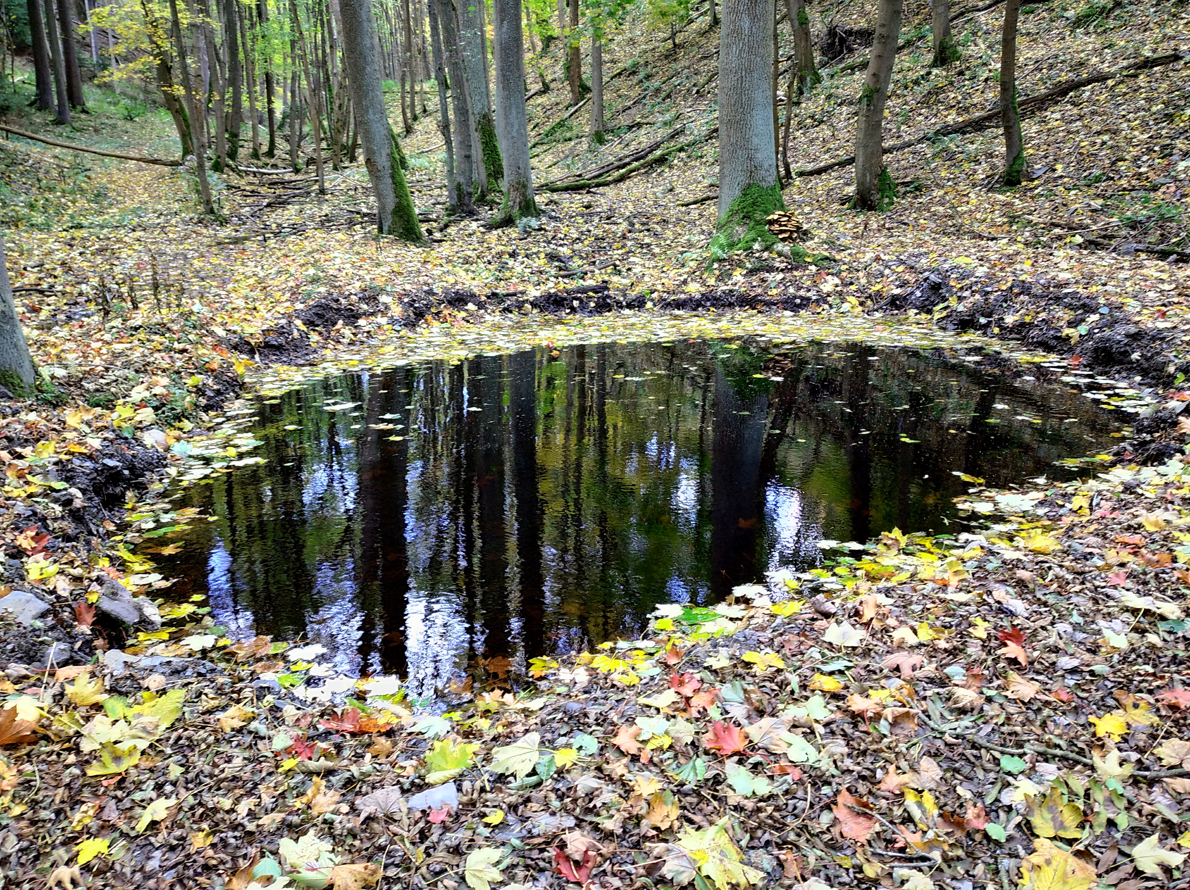 OPŽP seminář.