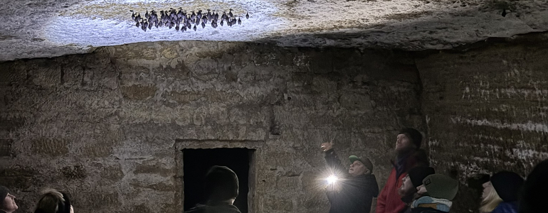 Účastníci vzhlíží na zimující vrápence, kteří visí ze stropu podzemního prostoru.