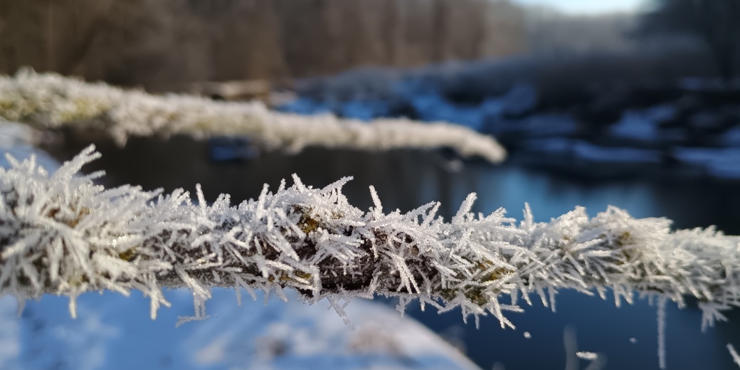 Jehličky ledu na větvy