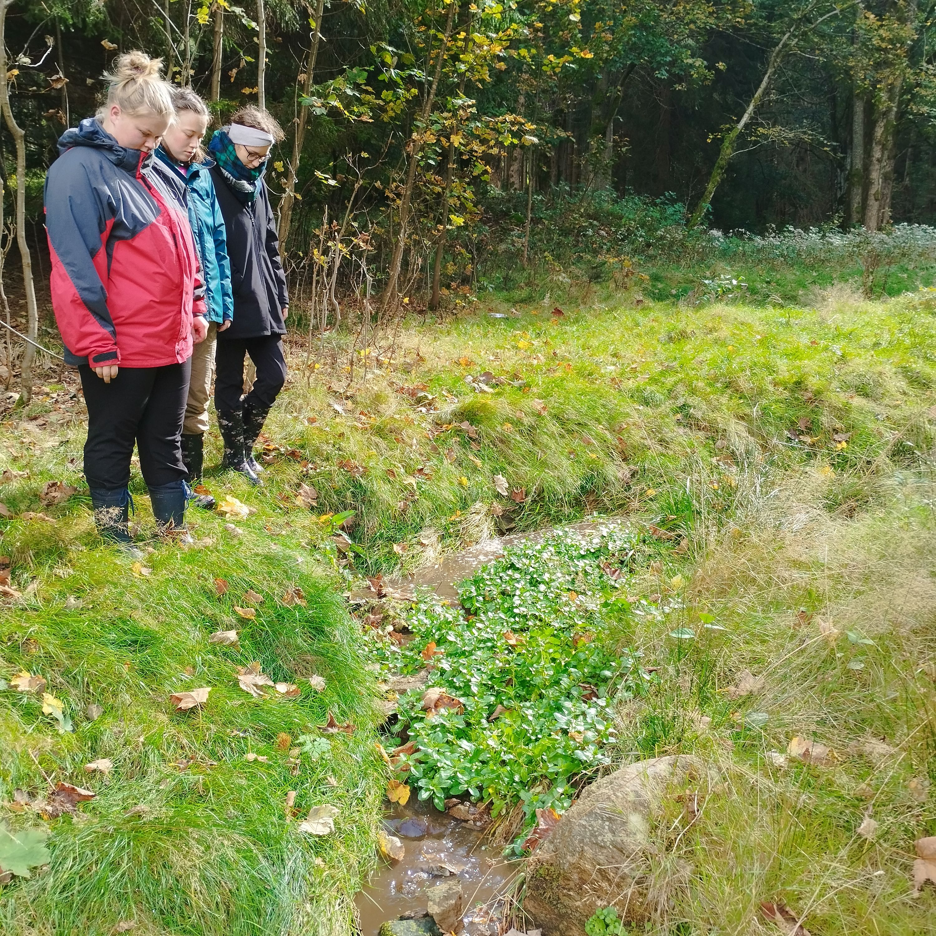 Vše je v pořádku. foto: Barbora Šťásková