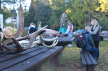 Za jeleny na Kladskou_Jana Rolková