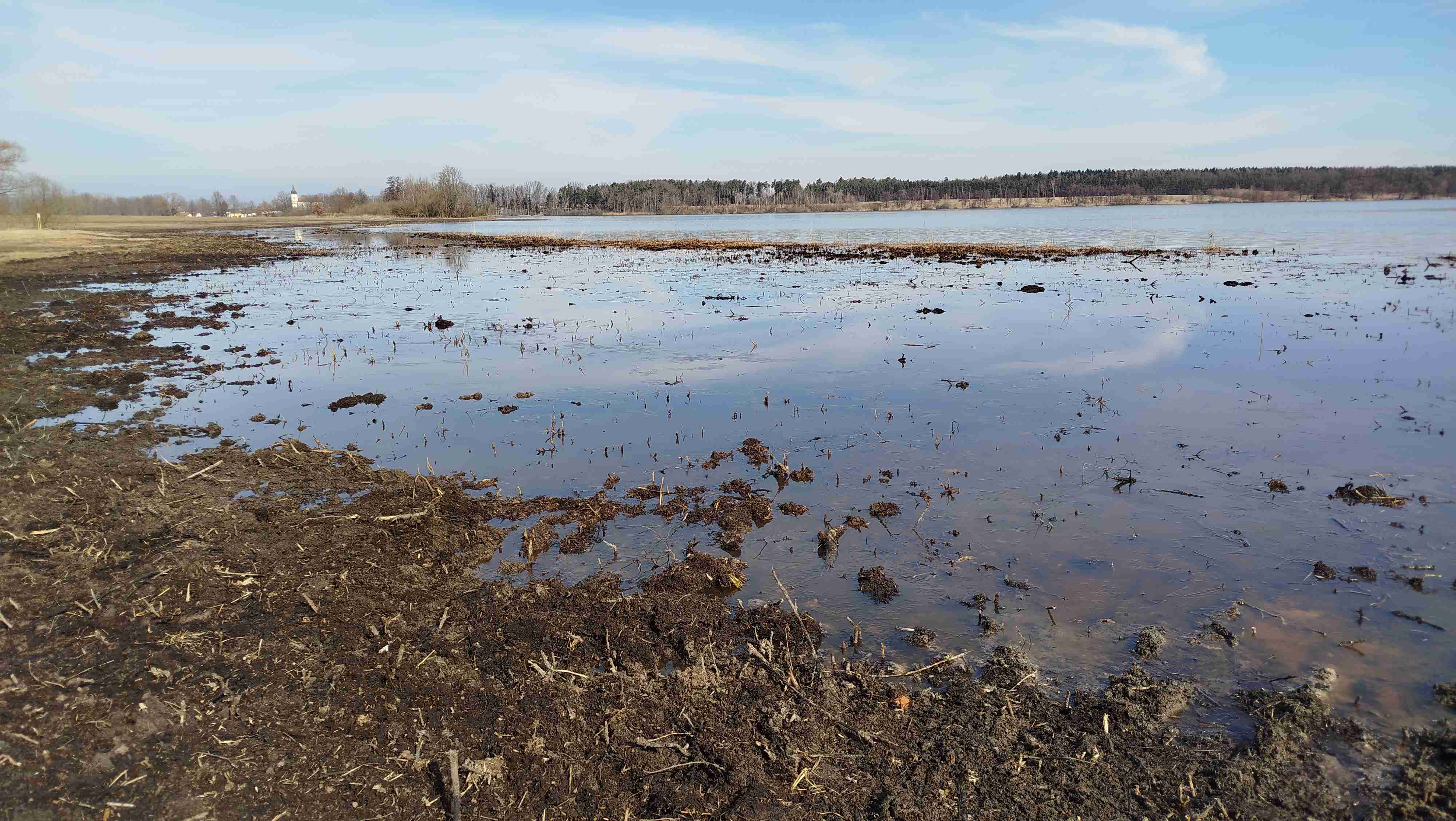 (Z. Neudertová): Rybník Bošilecký_v předjaří po dokončení prací.