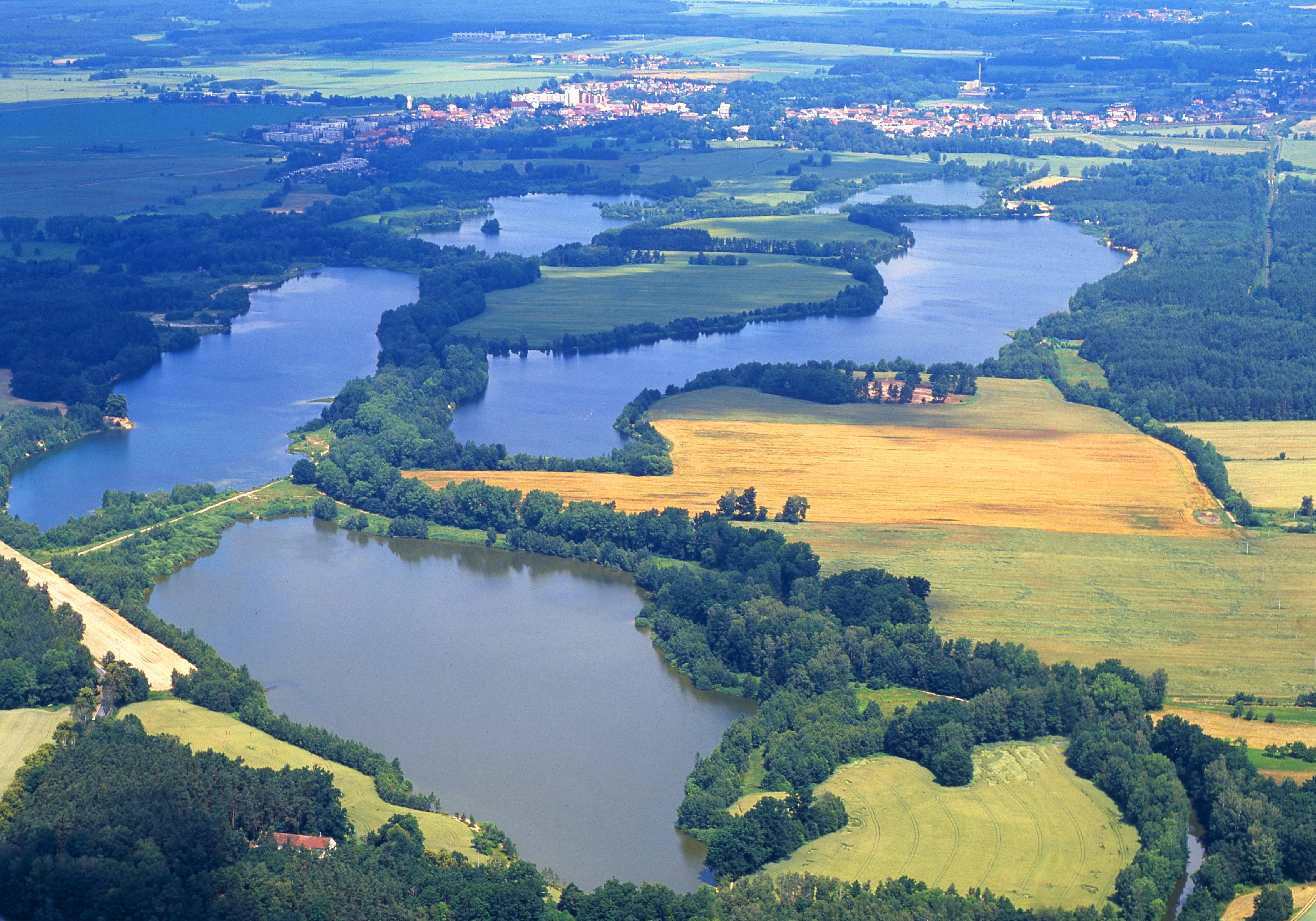 Veselské pískovny, foto RNDr. Jan Ševčík