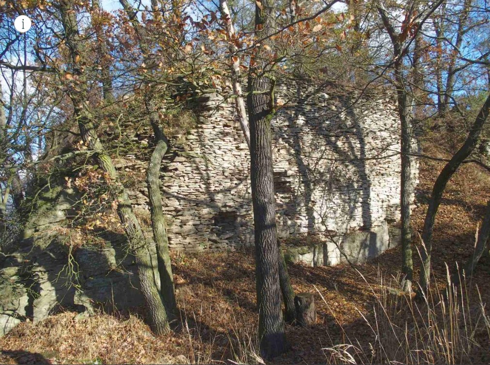 Hrad Litýš